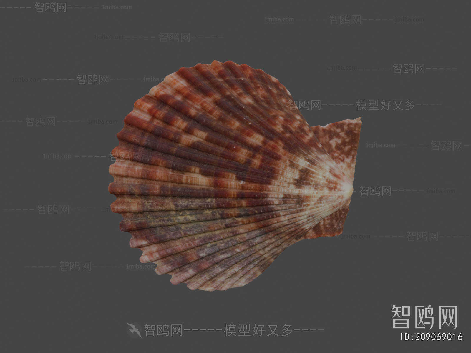 Modern Aquatic Animals