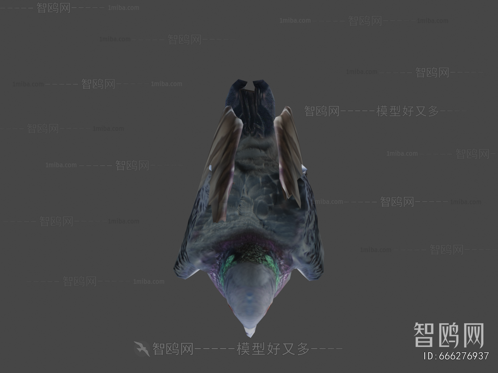 Modern Flying Animals
