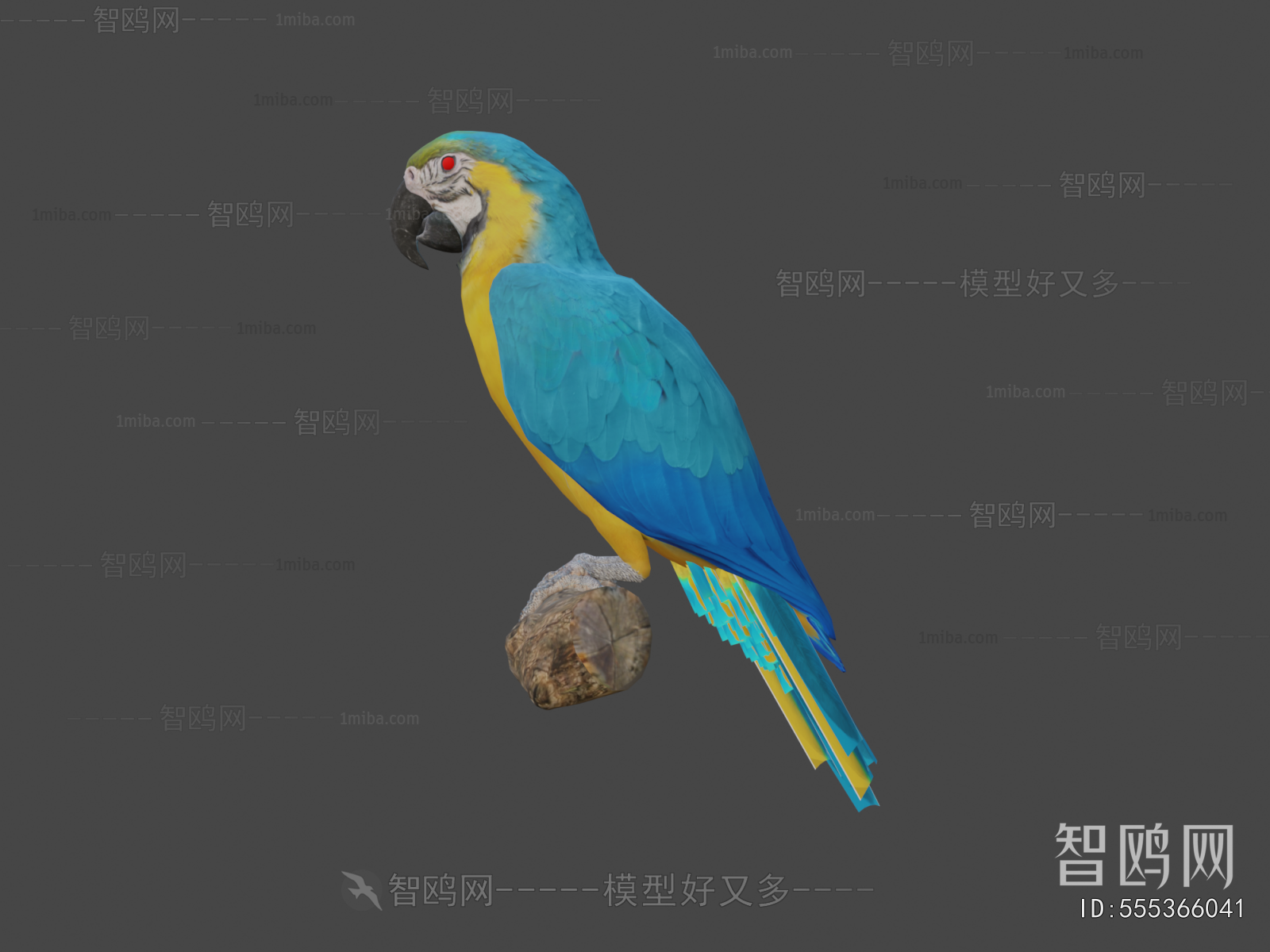 Modern Animal