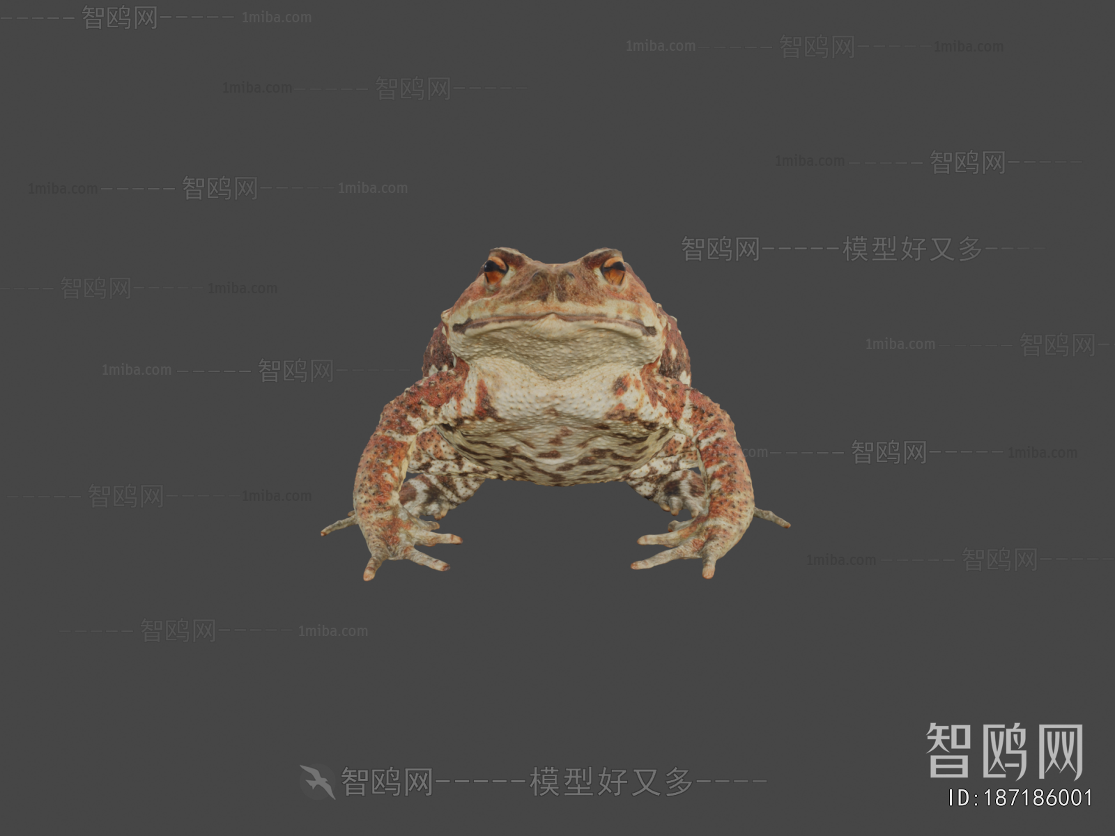 Modern Animal