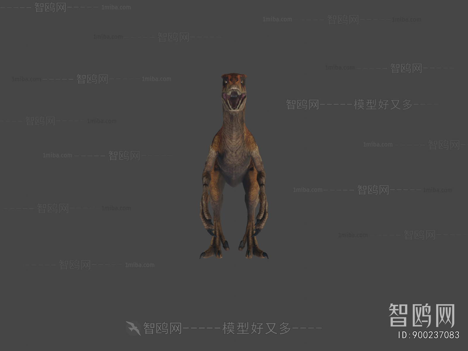 Modern Animal