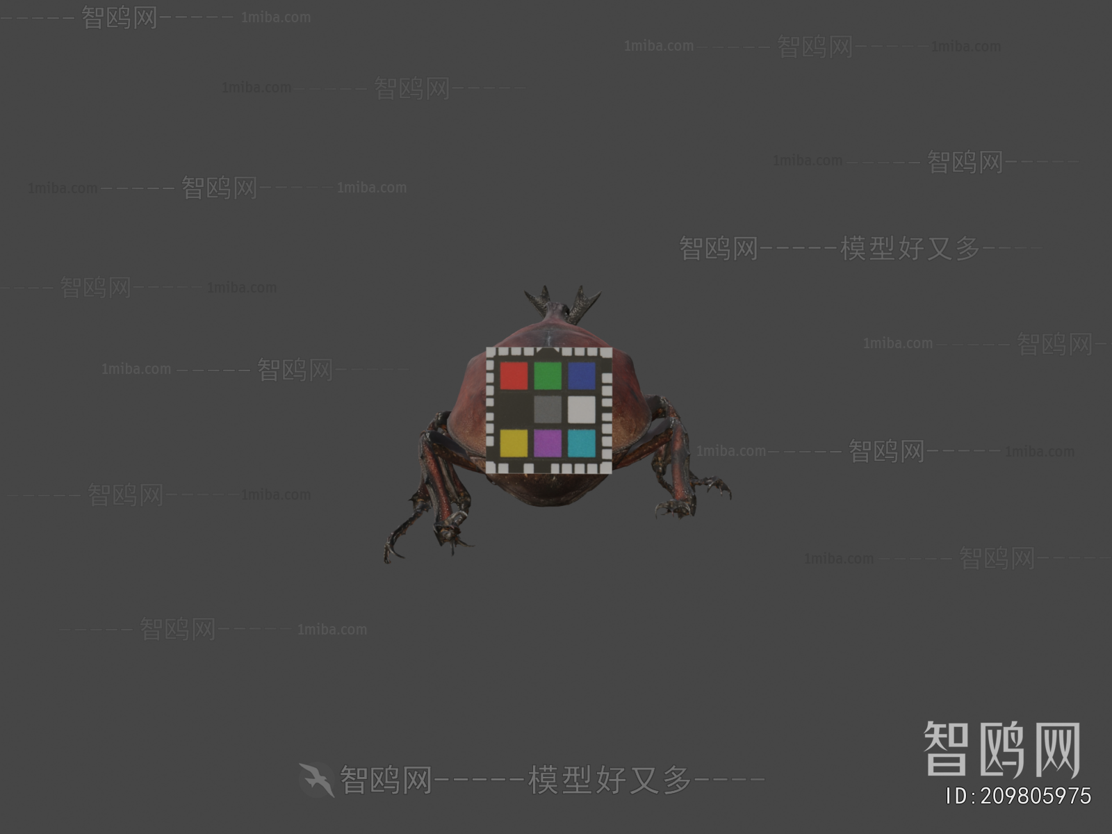 Modern Animal
