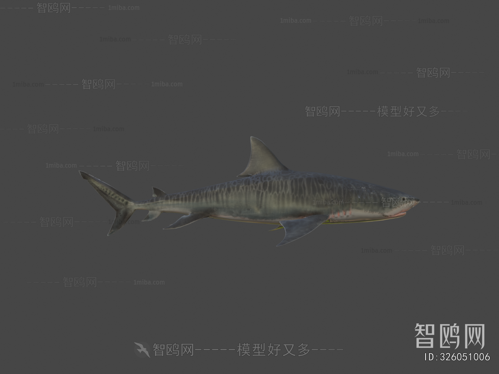 Modern Aquatic Animals