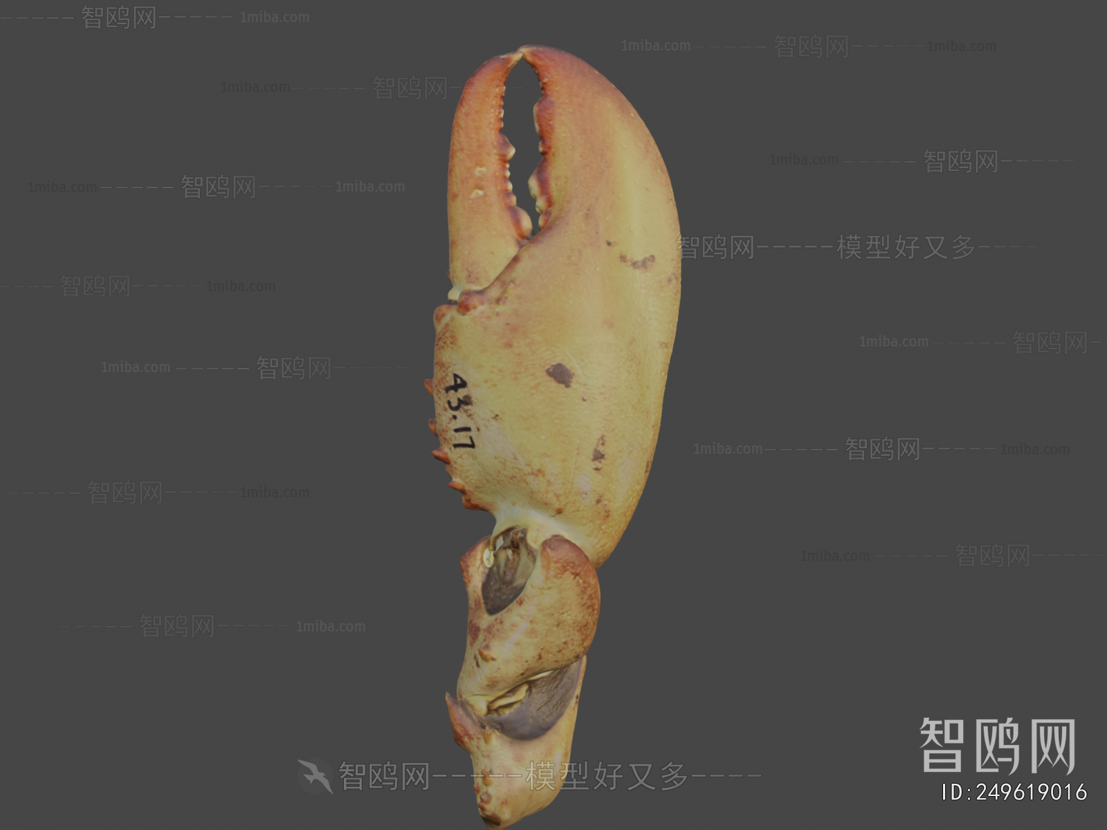 Modern Medical Equipment