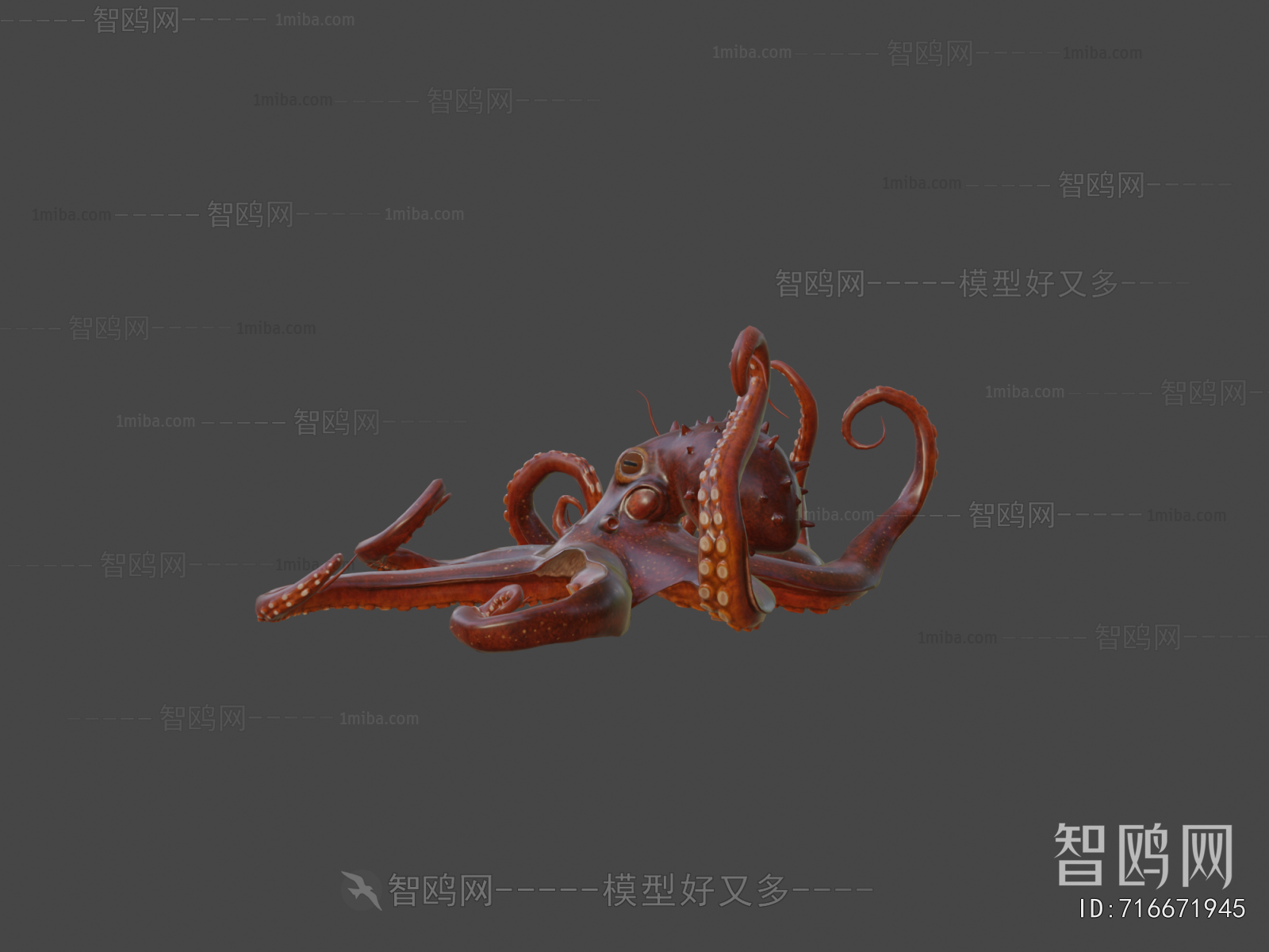 Modern Animal