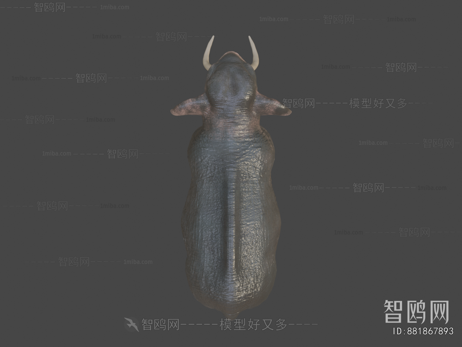 Modern Animal