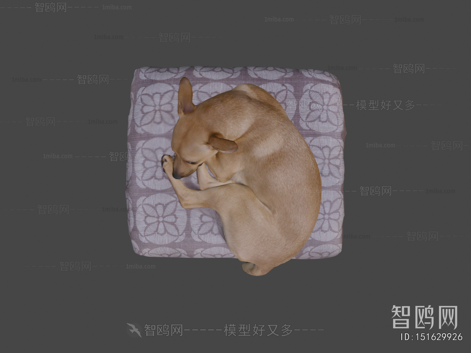 Modern Animal Dog