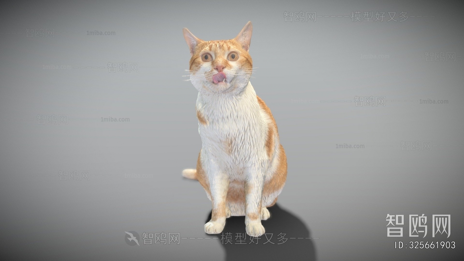 Modern Animal