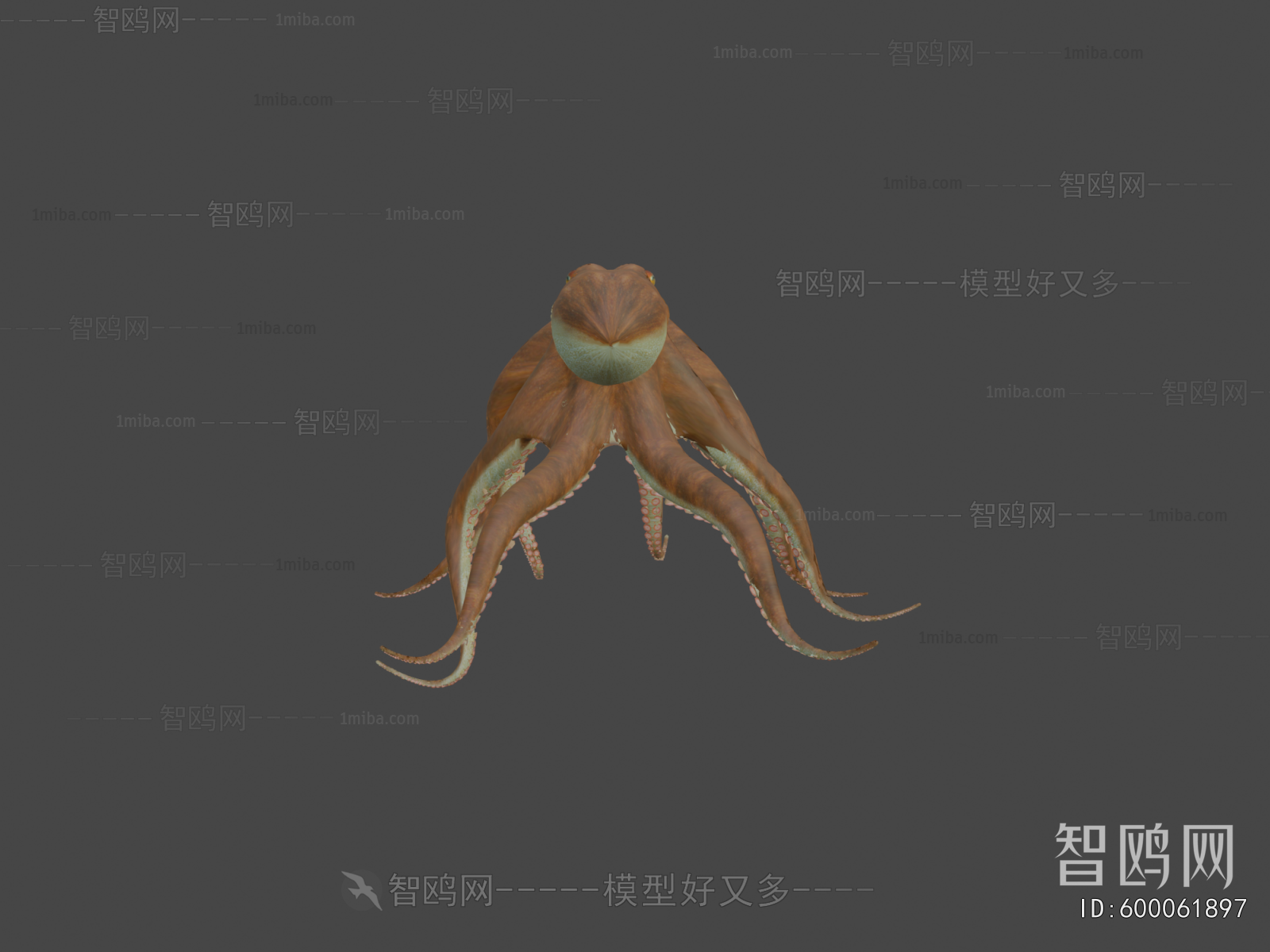 Modern Animal