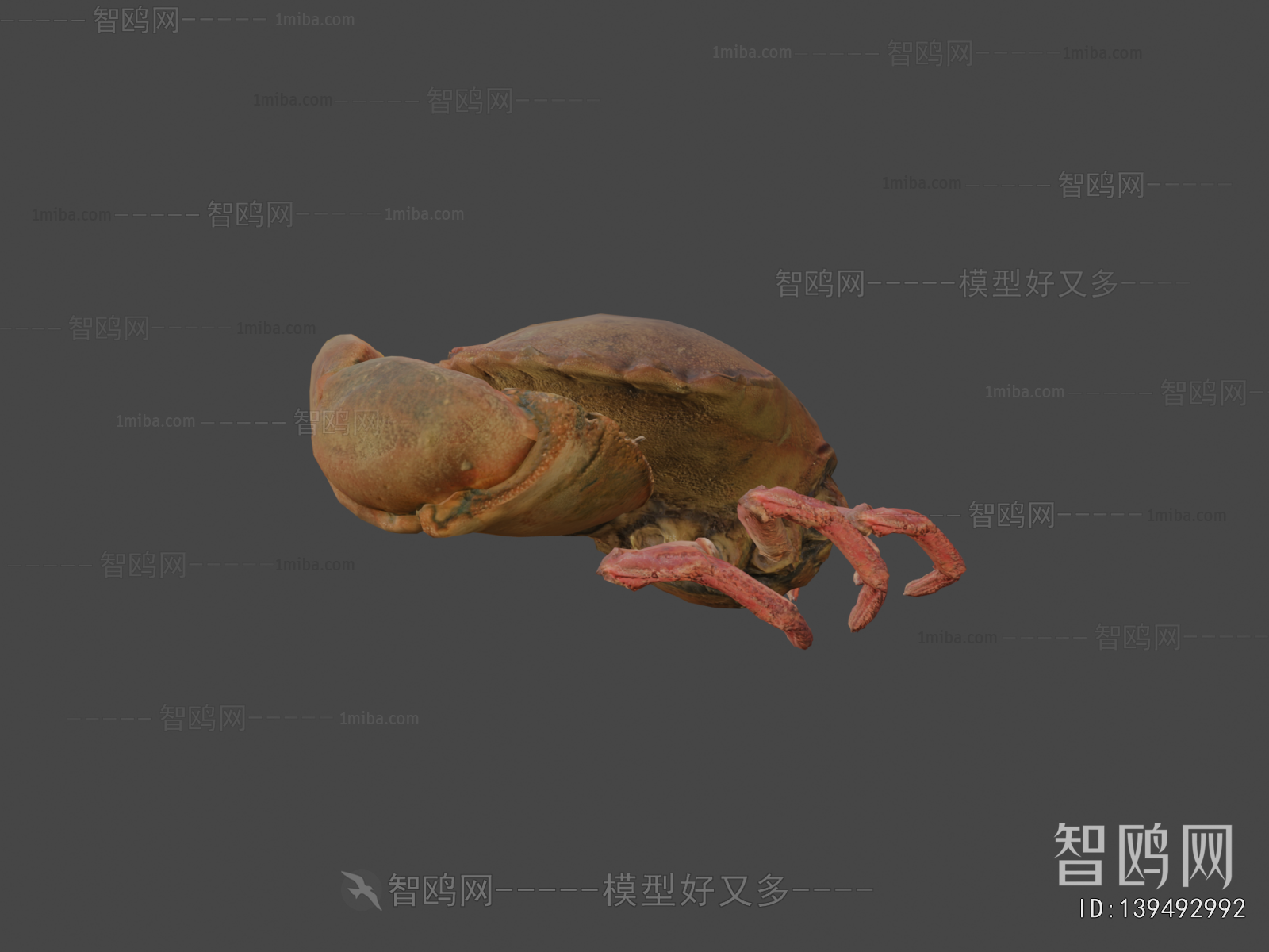 Modern Animal