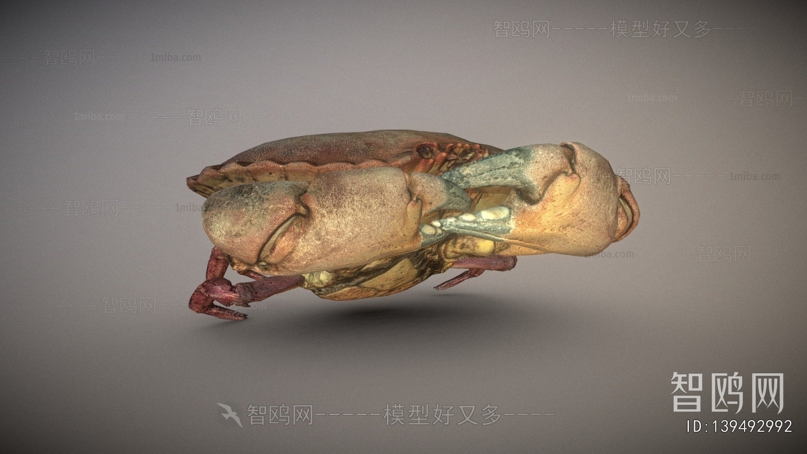 Modern Animal