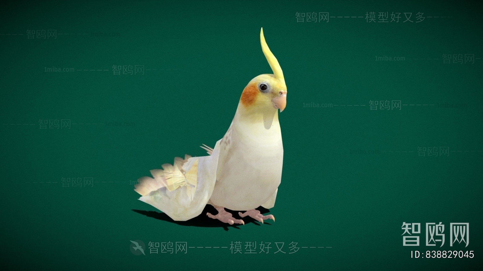 Modern Flying Animals