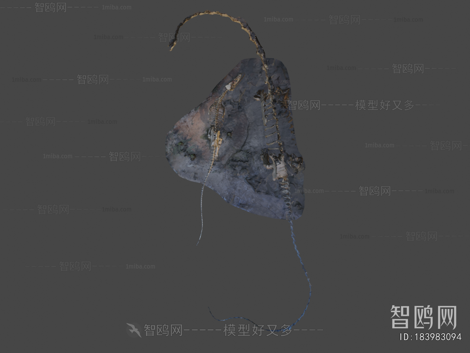 Modern Medical Equipment