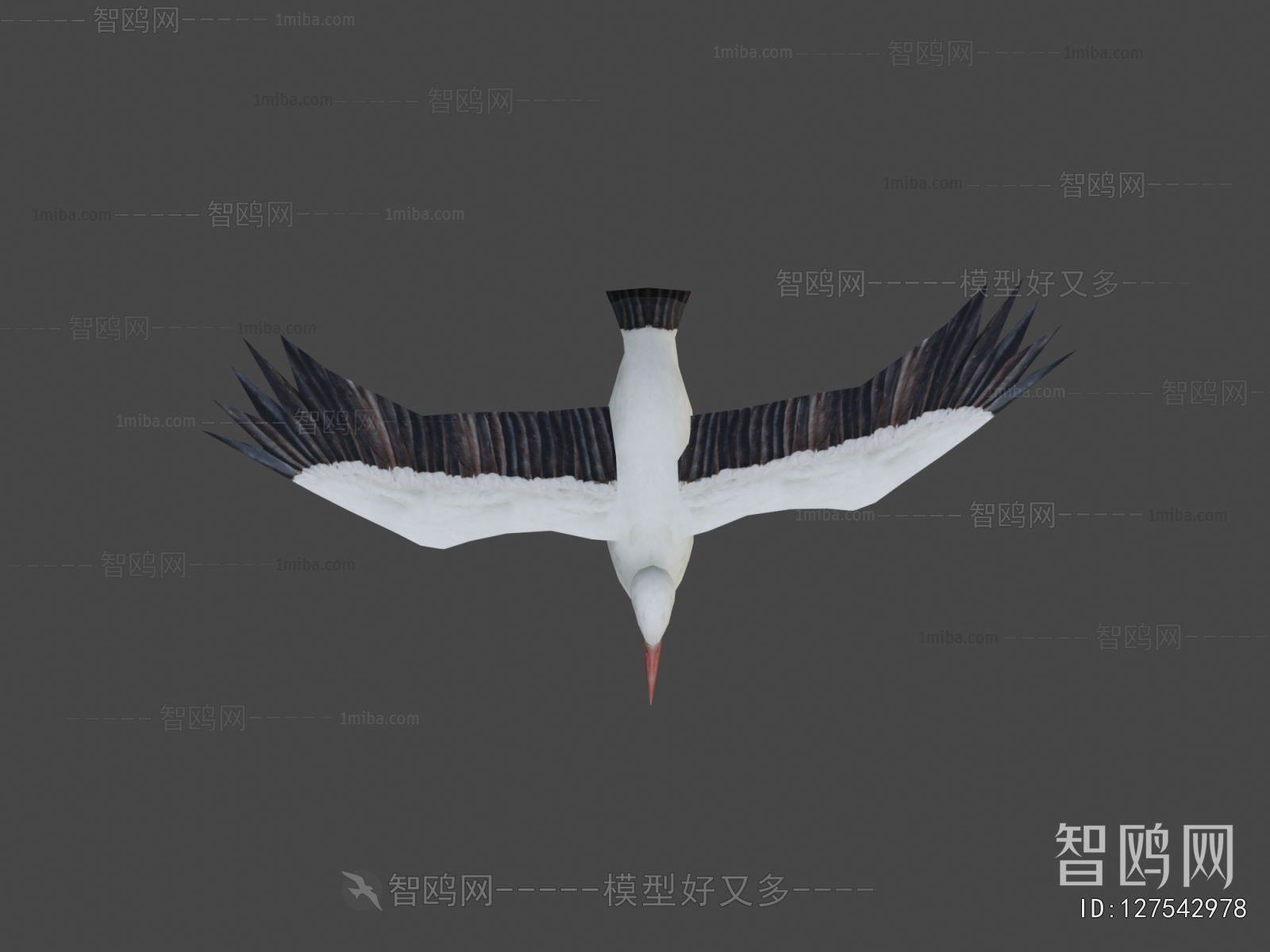 Modern Flying Animals