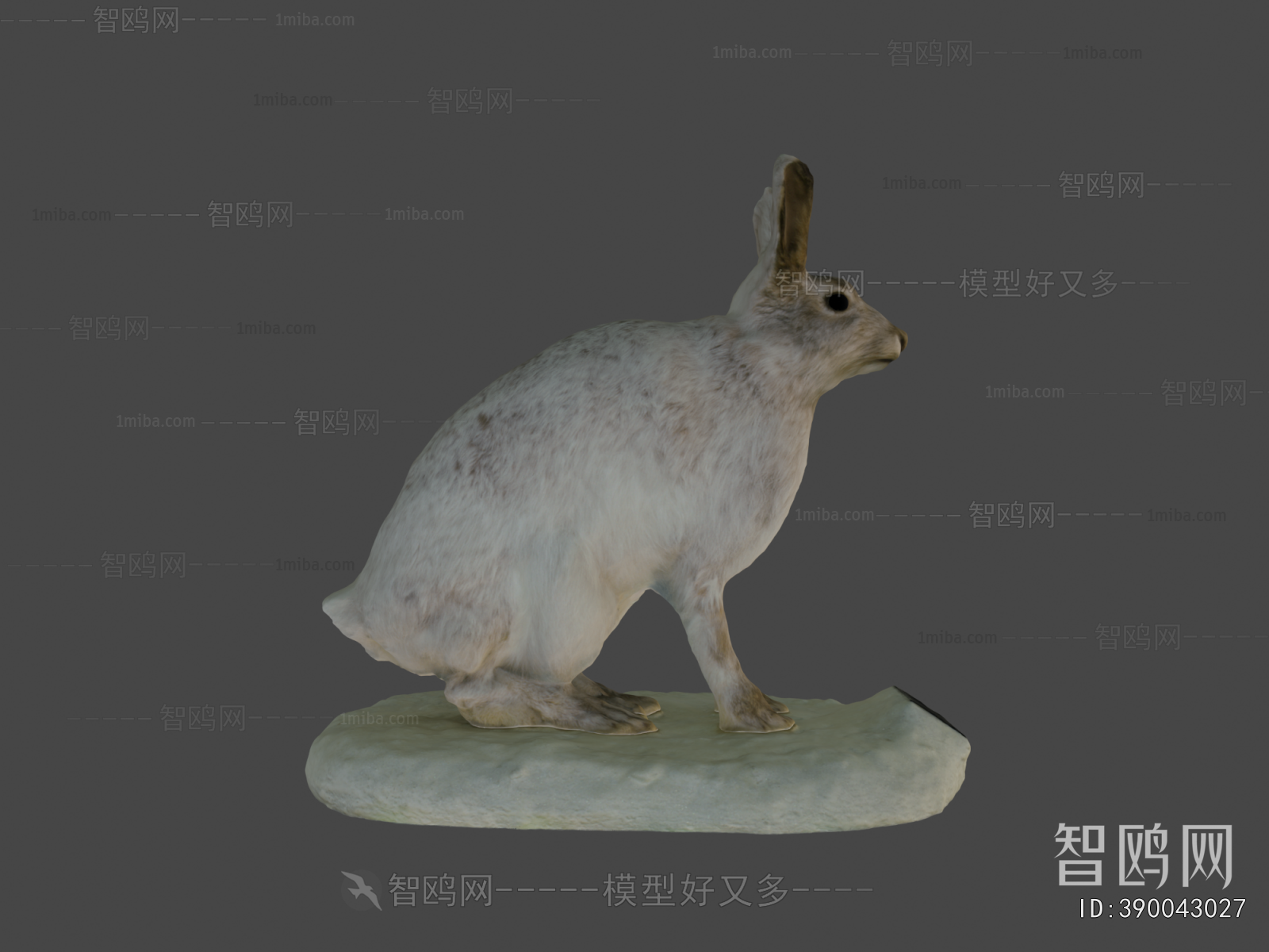 Modern Mammal