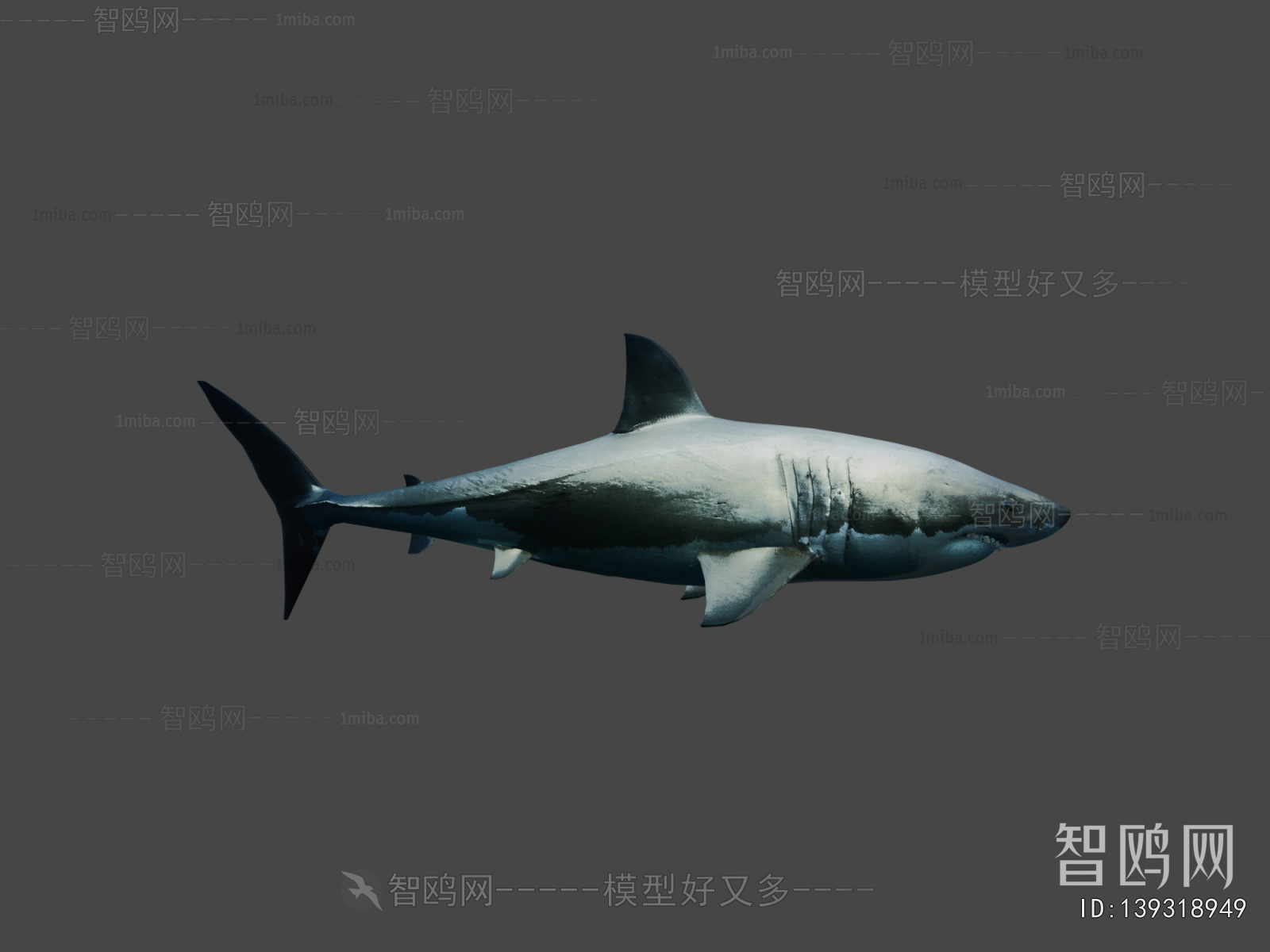 Modern Animal