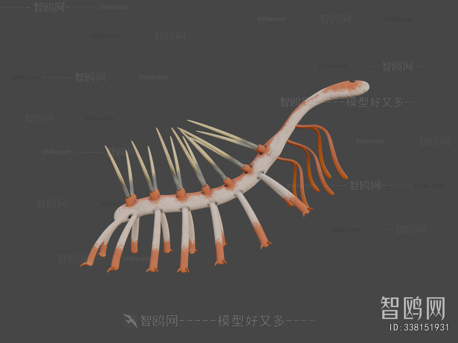  Animal