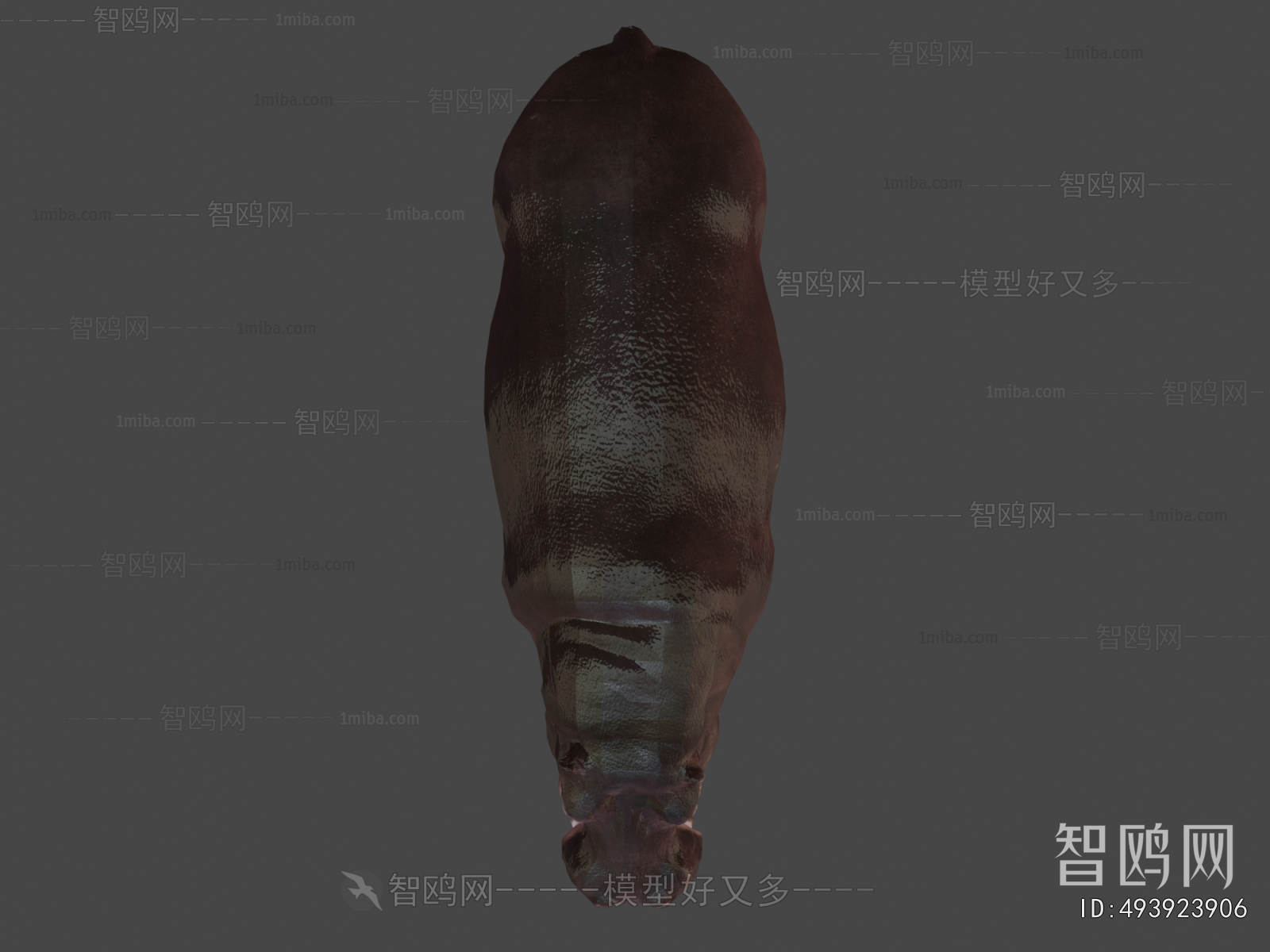 Modern Animal