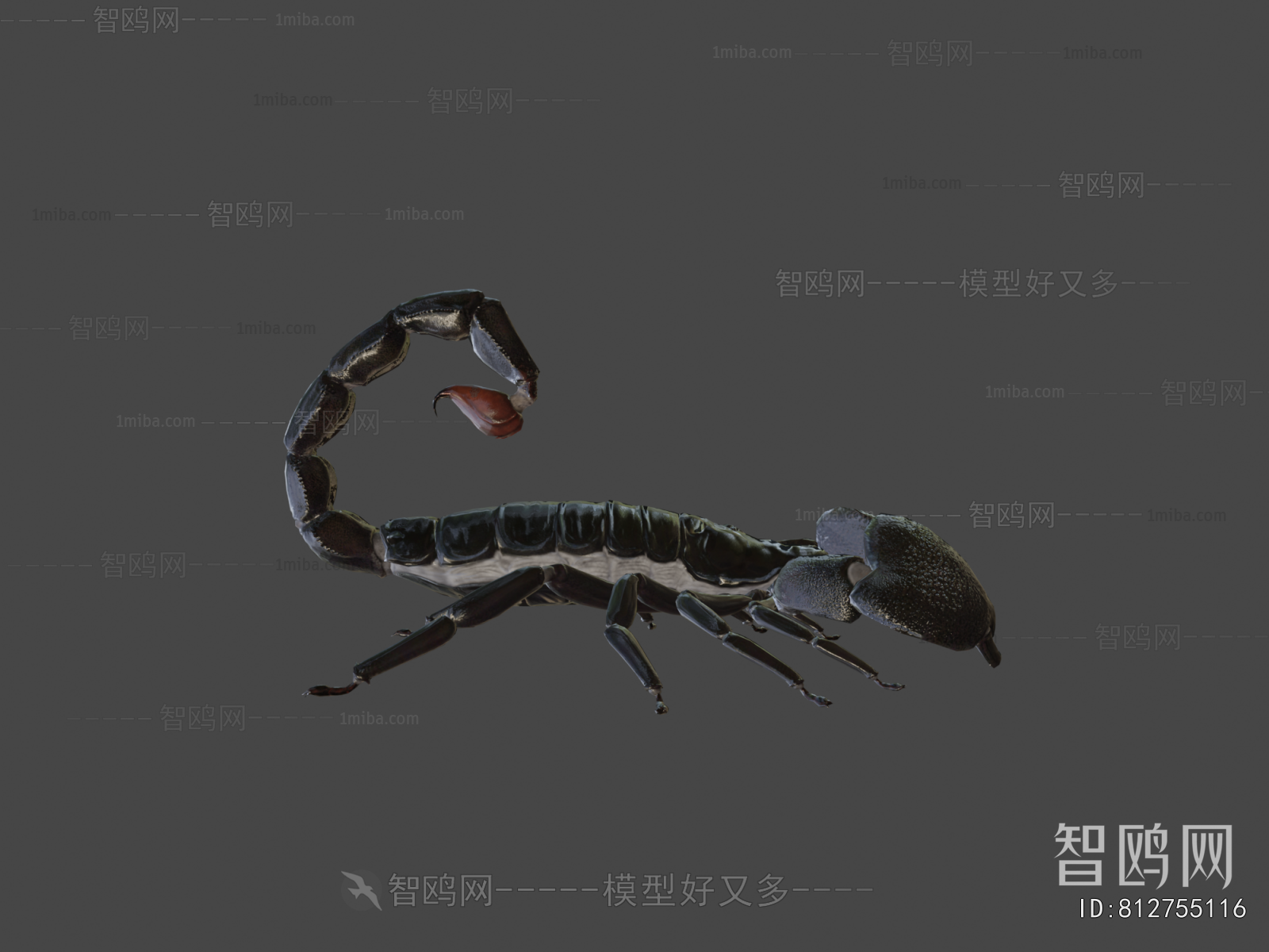 Modern Reptile