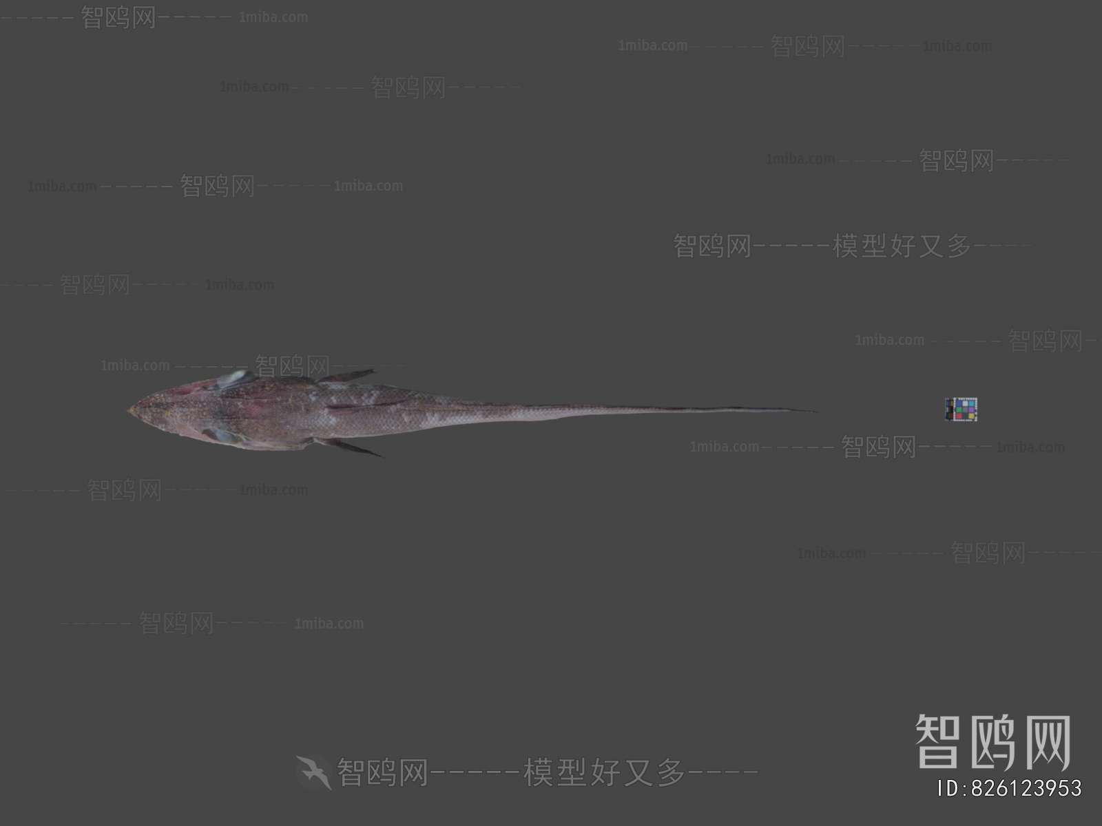 Modern Aquatic Animals