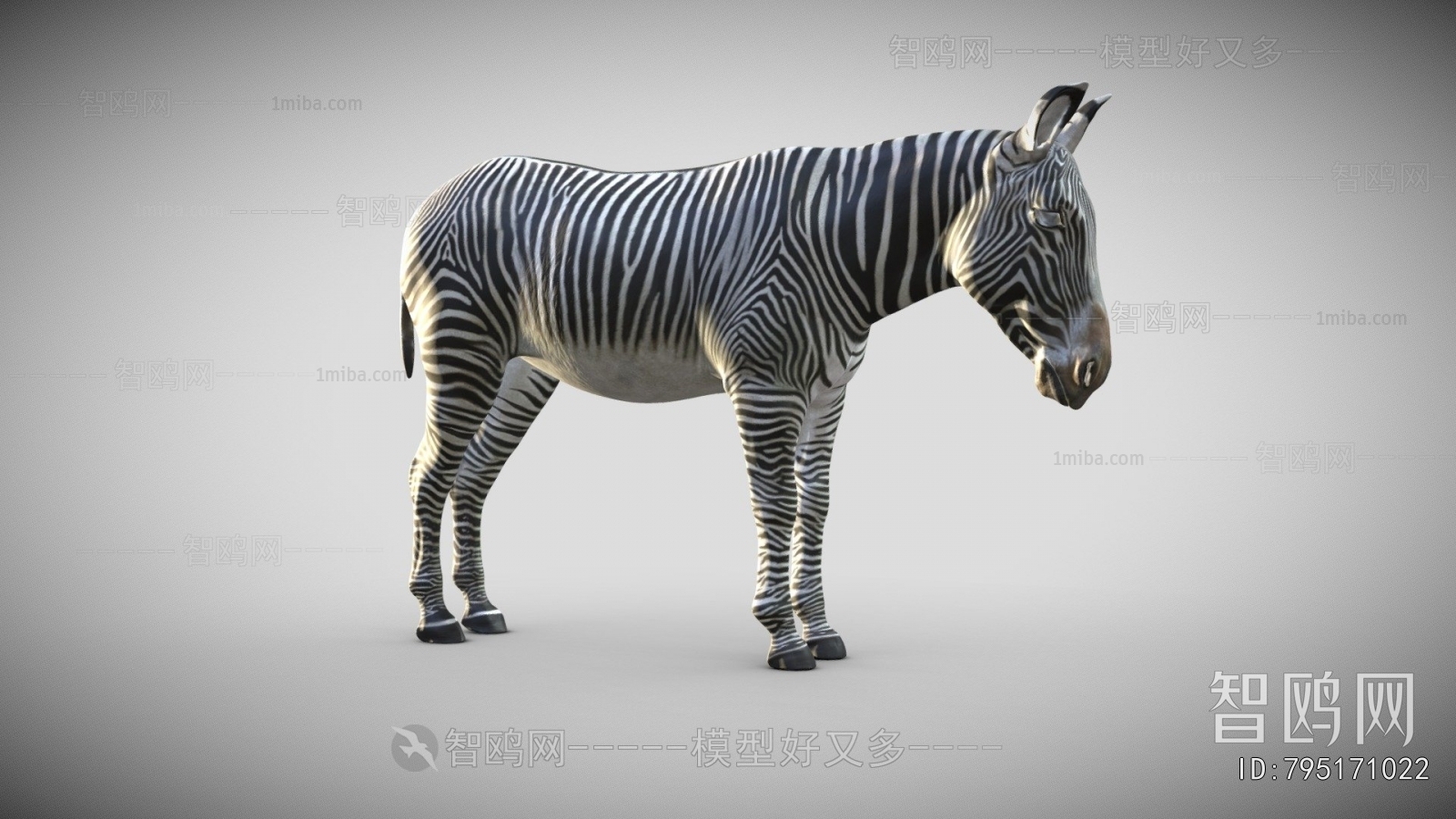 Modern Animal Horse
