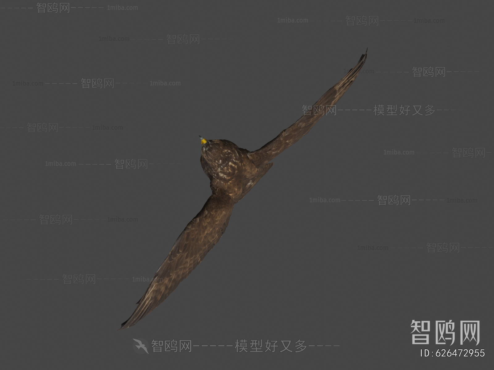 Modern Animal