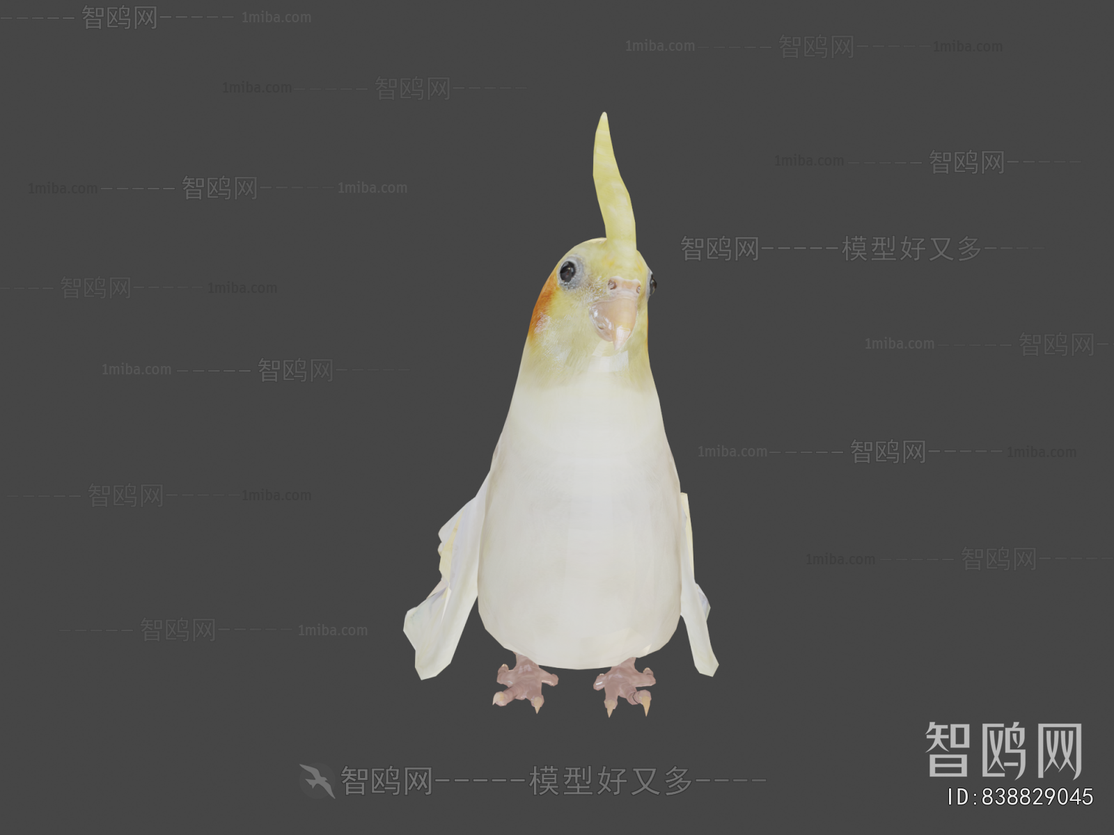 Modern Flying Animals