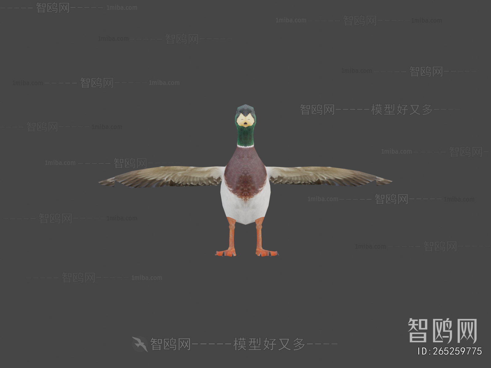Modern Animal