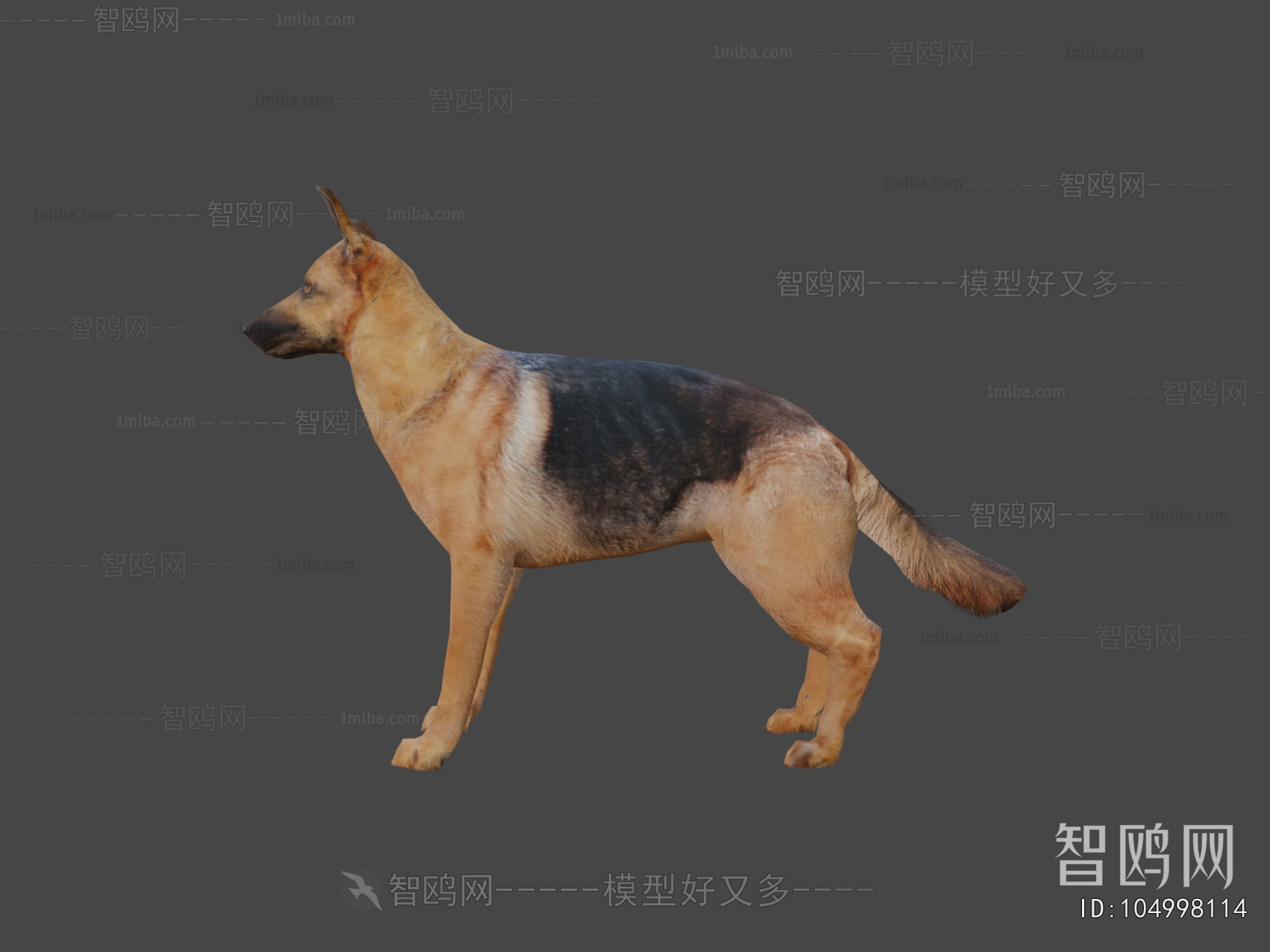Modern Animal Dog