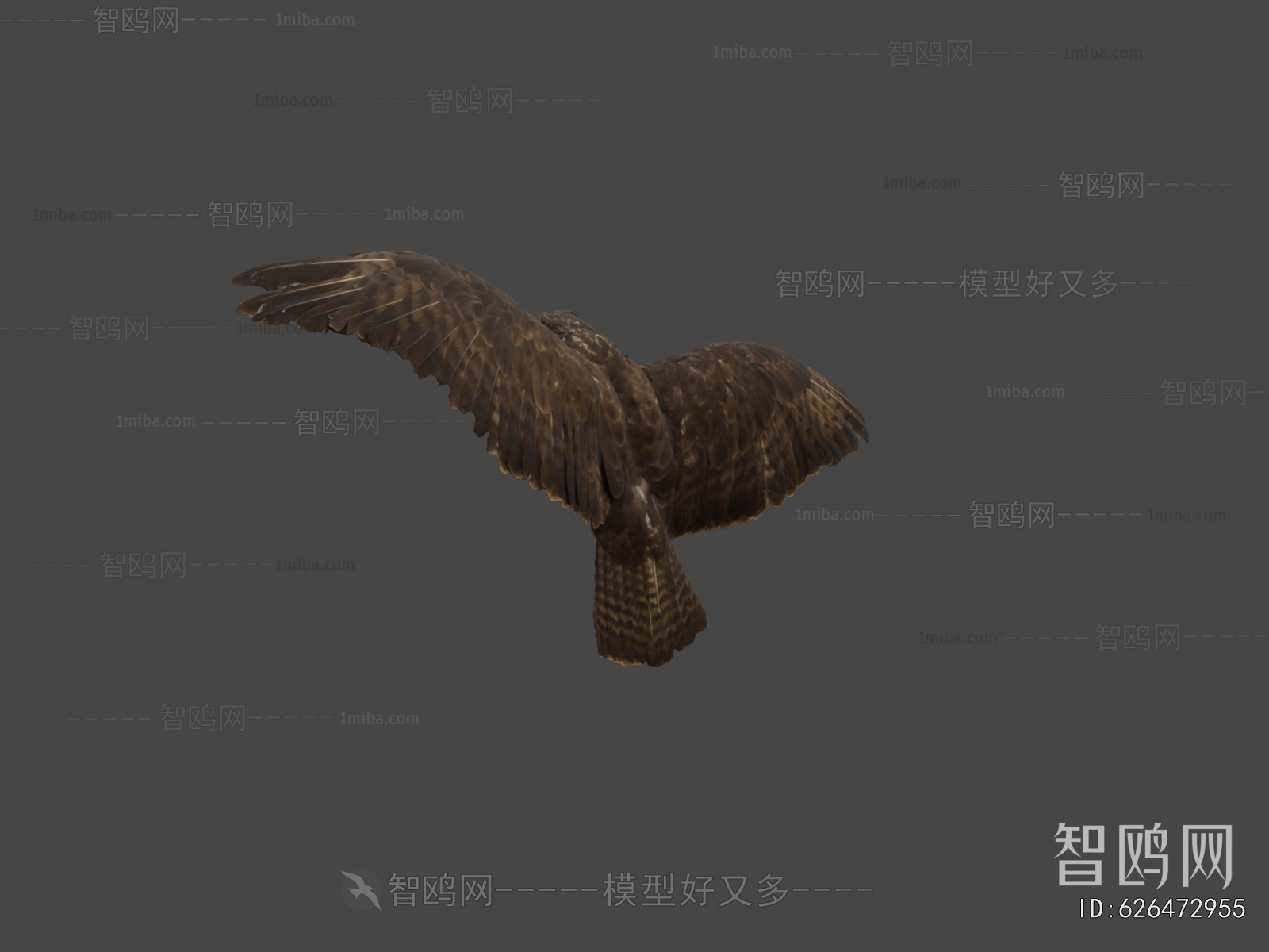 Modern Animal