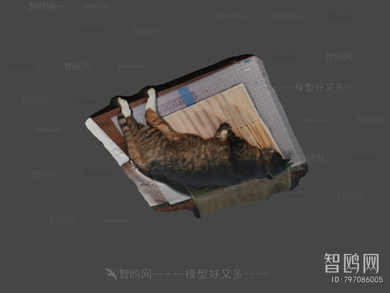 Modern Animal