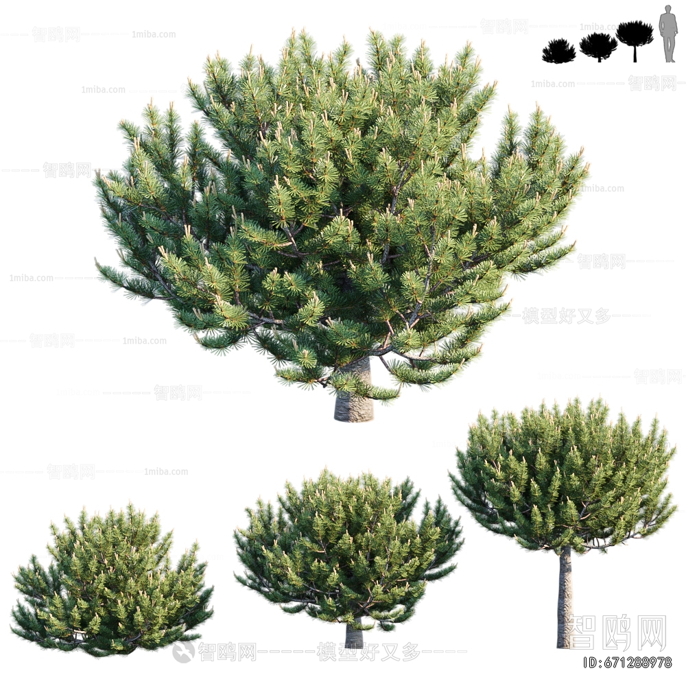 Modern Tree