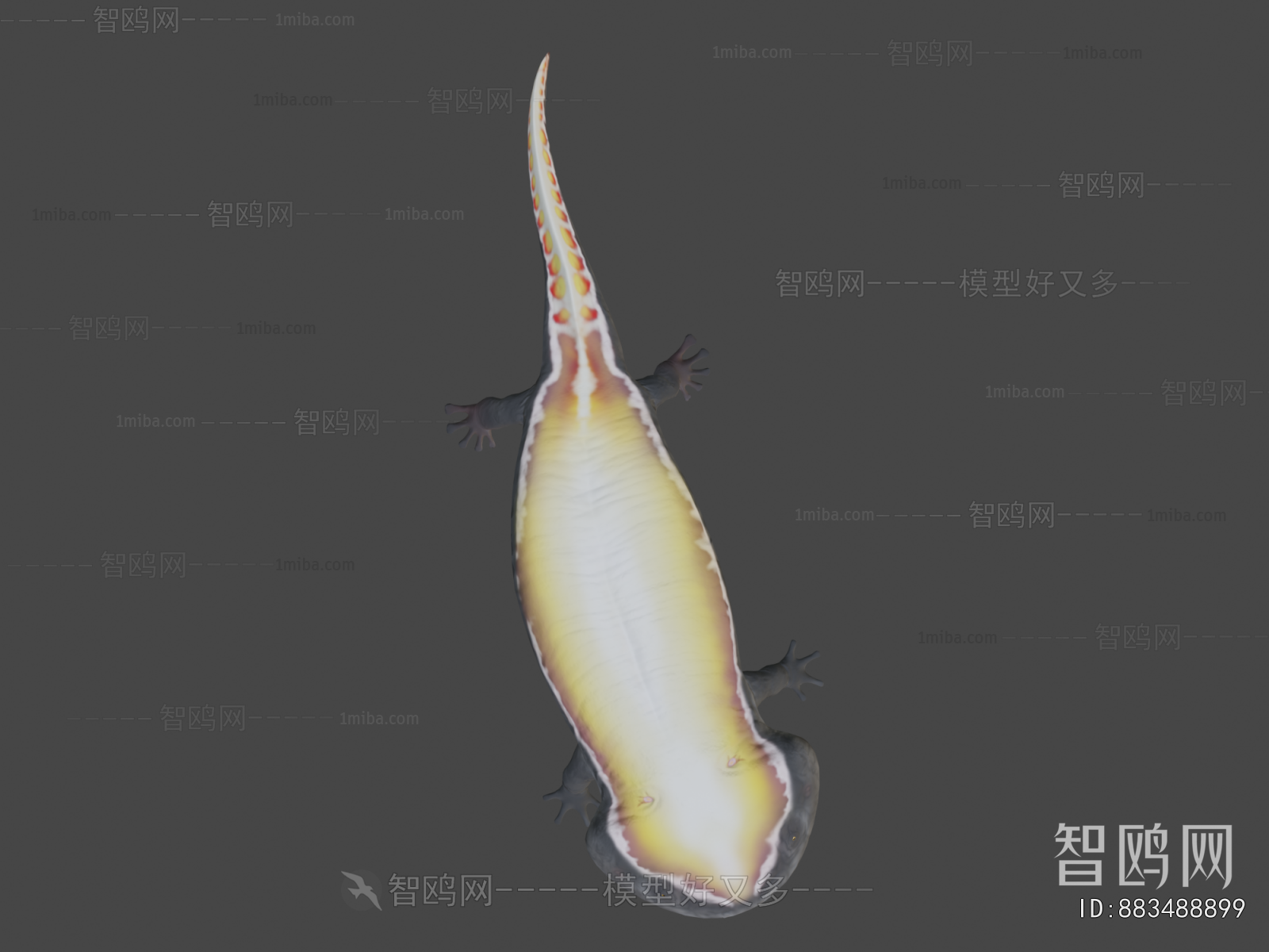 Modern Animal