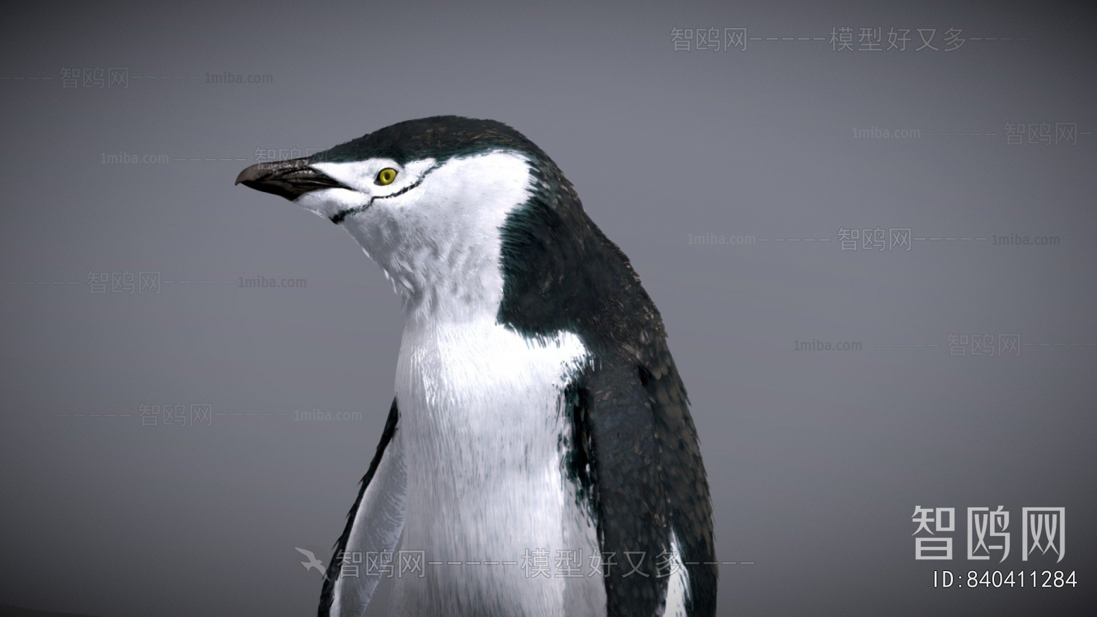 Modern Animal