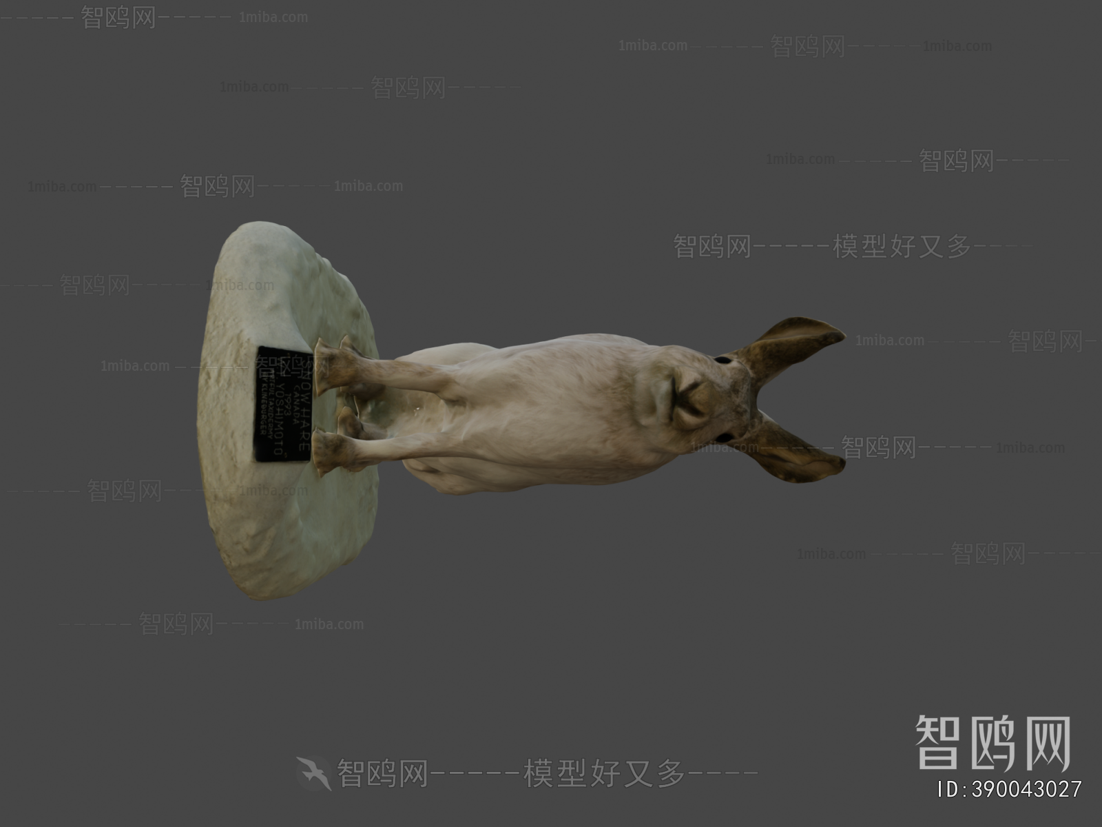Modern Mammal