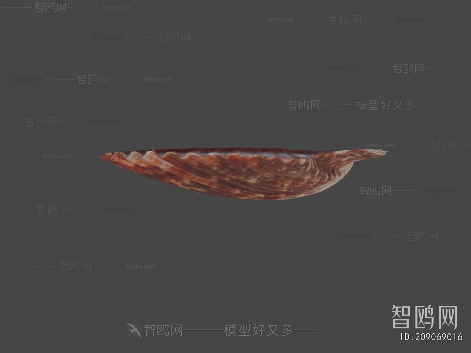 Modern Aquatic Animals
