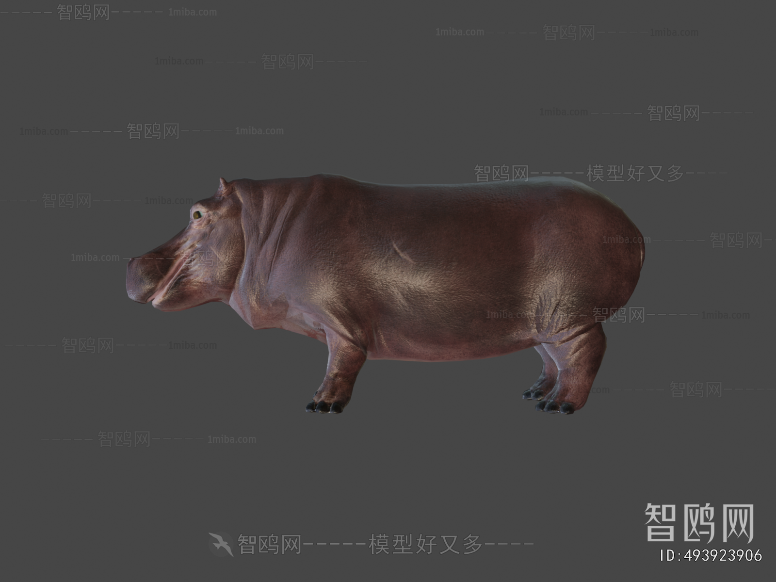 Modern Animal