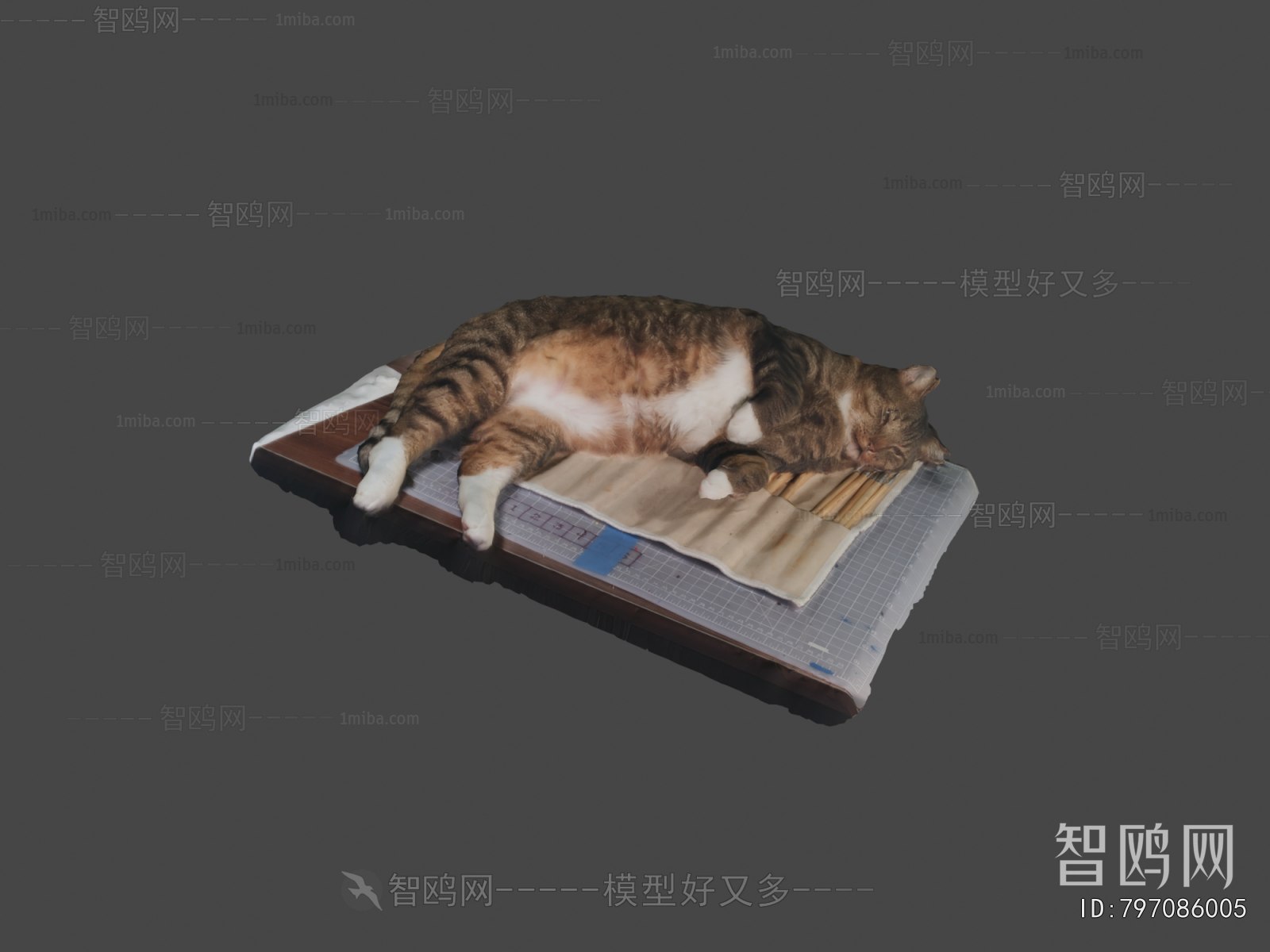 Modern Animal