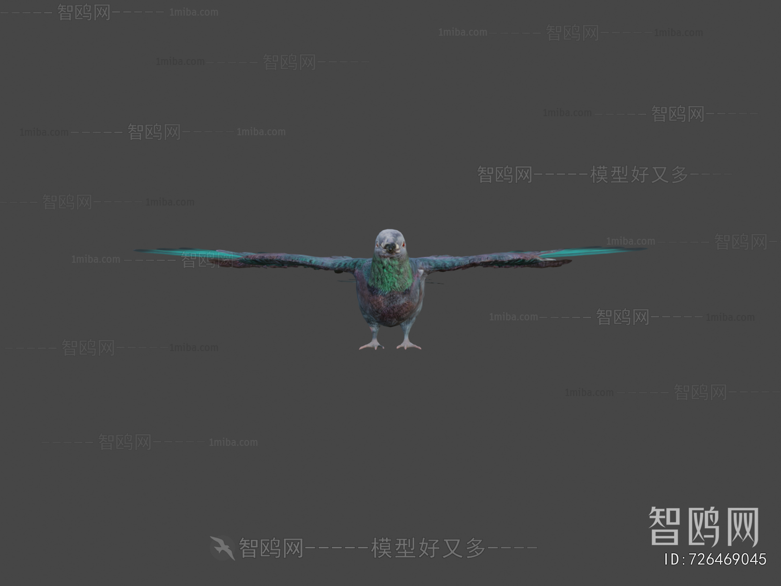 Modern Flying Animals
