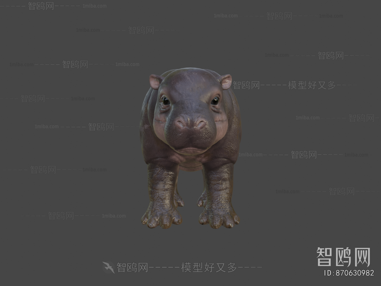 Modern Animal