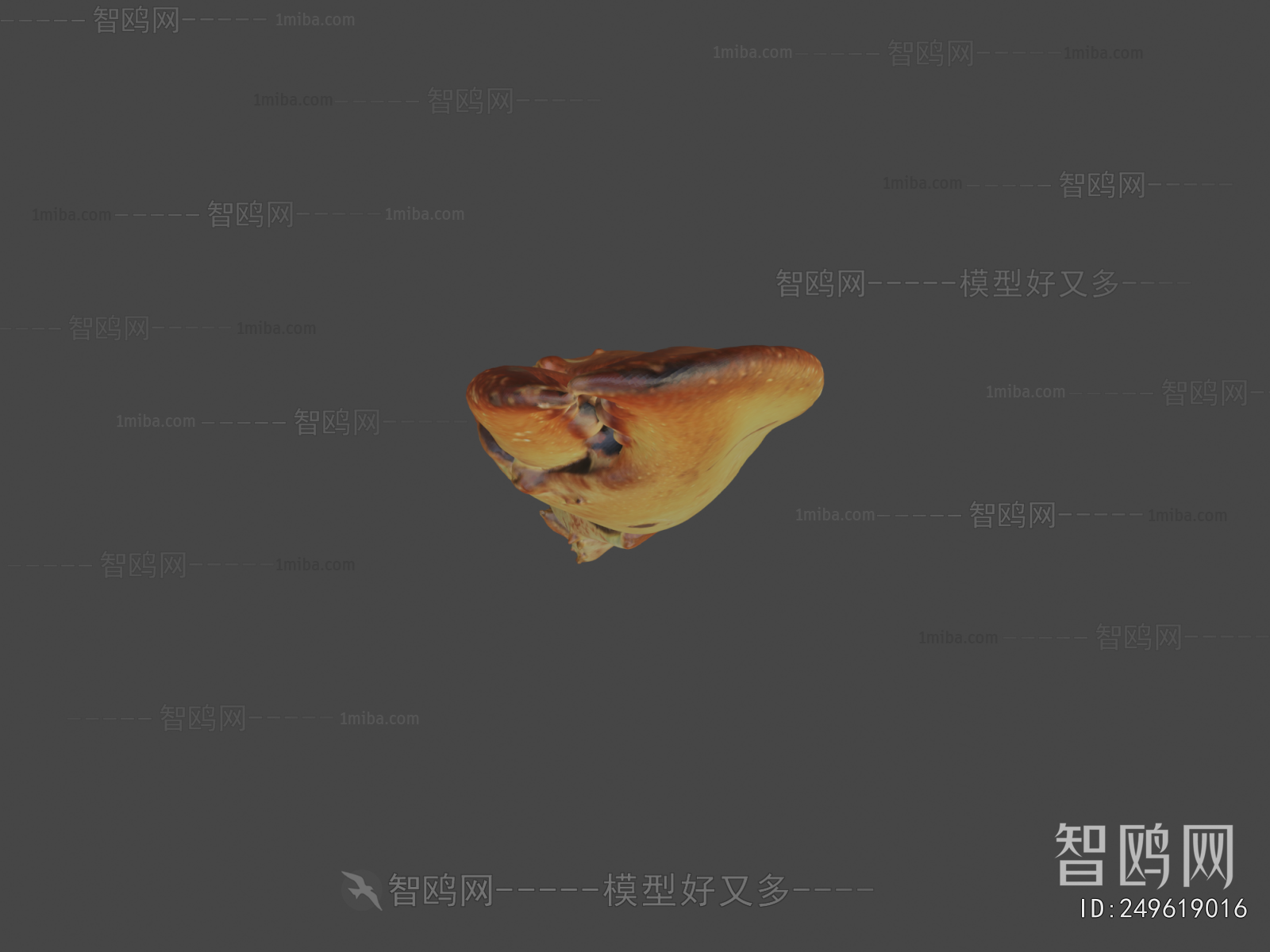 Modern Medical Equipment