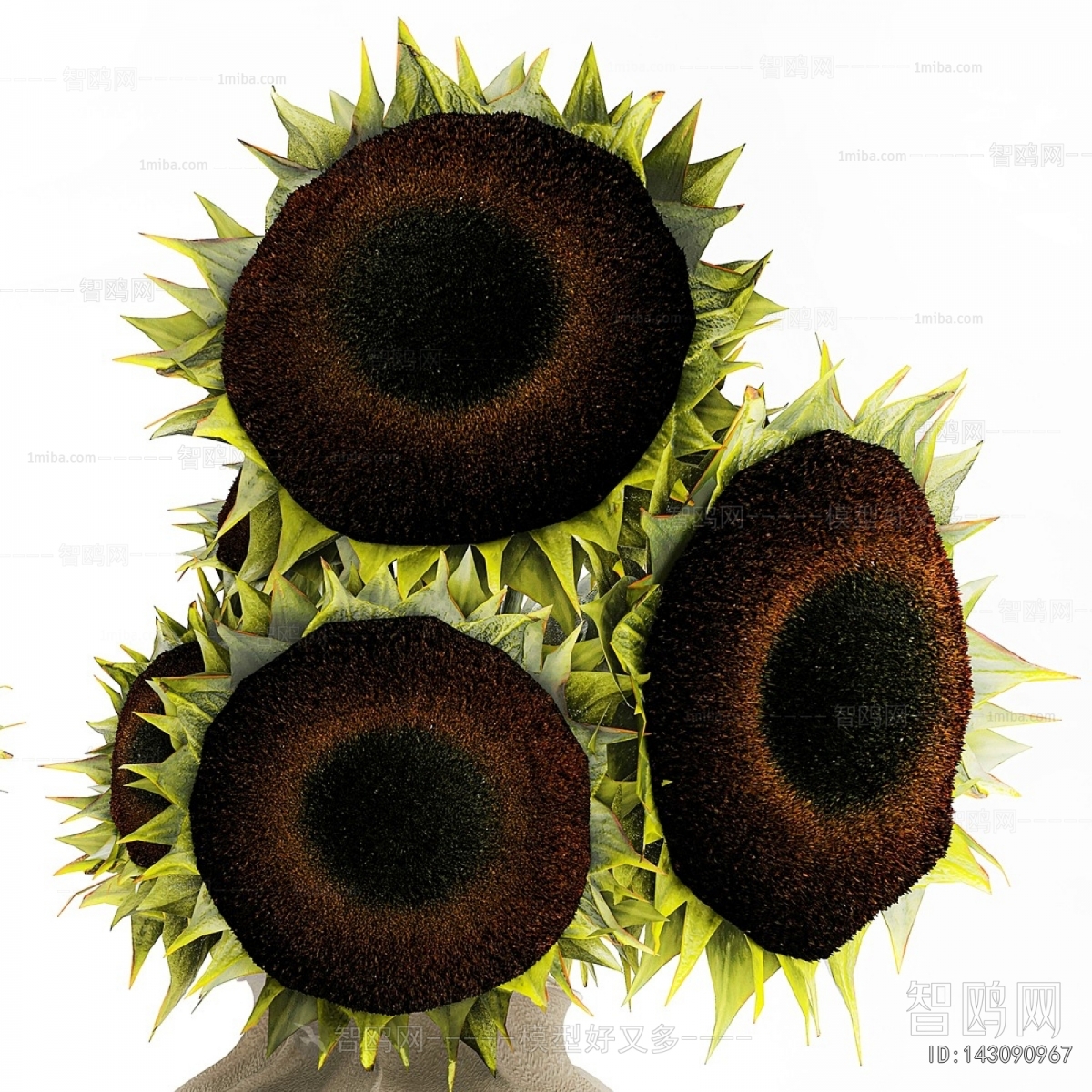 Modern Flower Arrangement