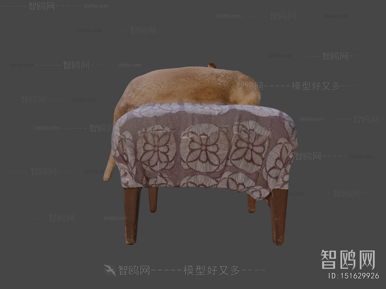 Modern Animal Dog