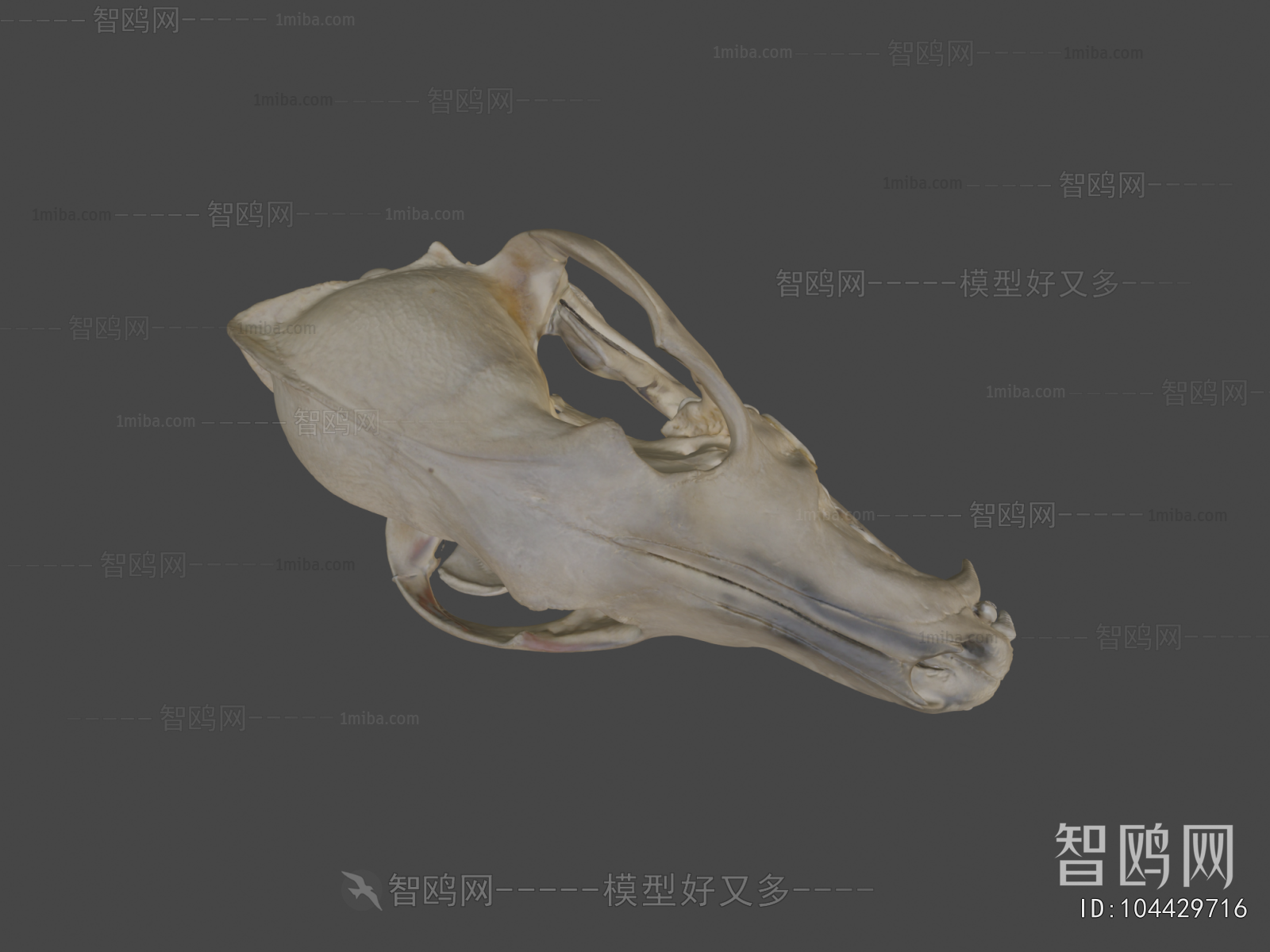 Modern Medical Equipment