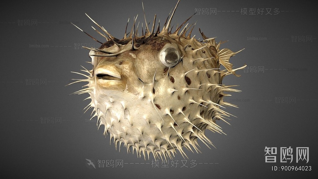Modern Aquatic Animals