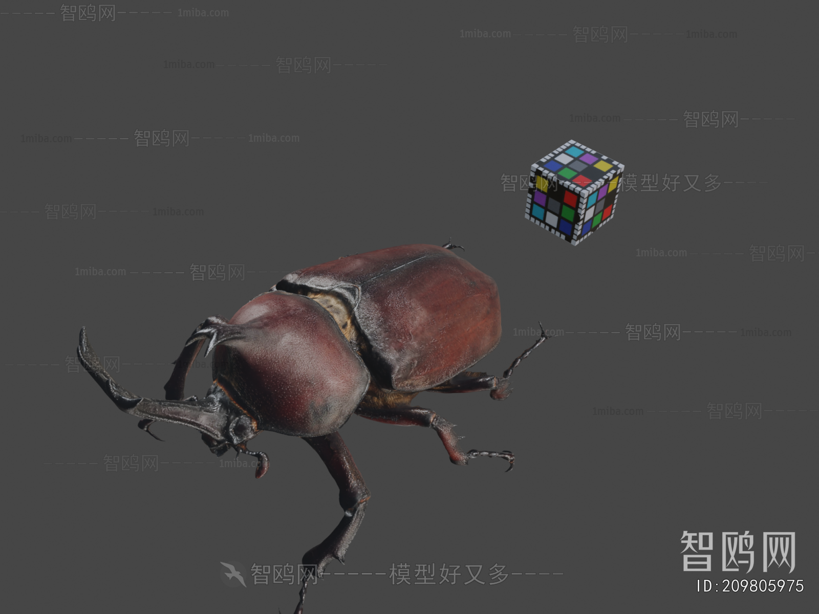 Modern Animal