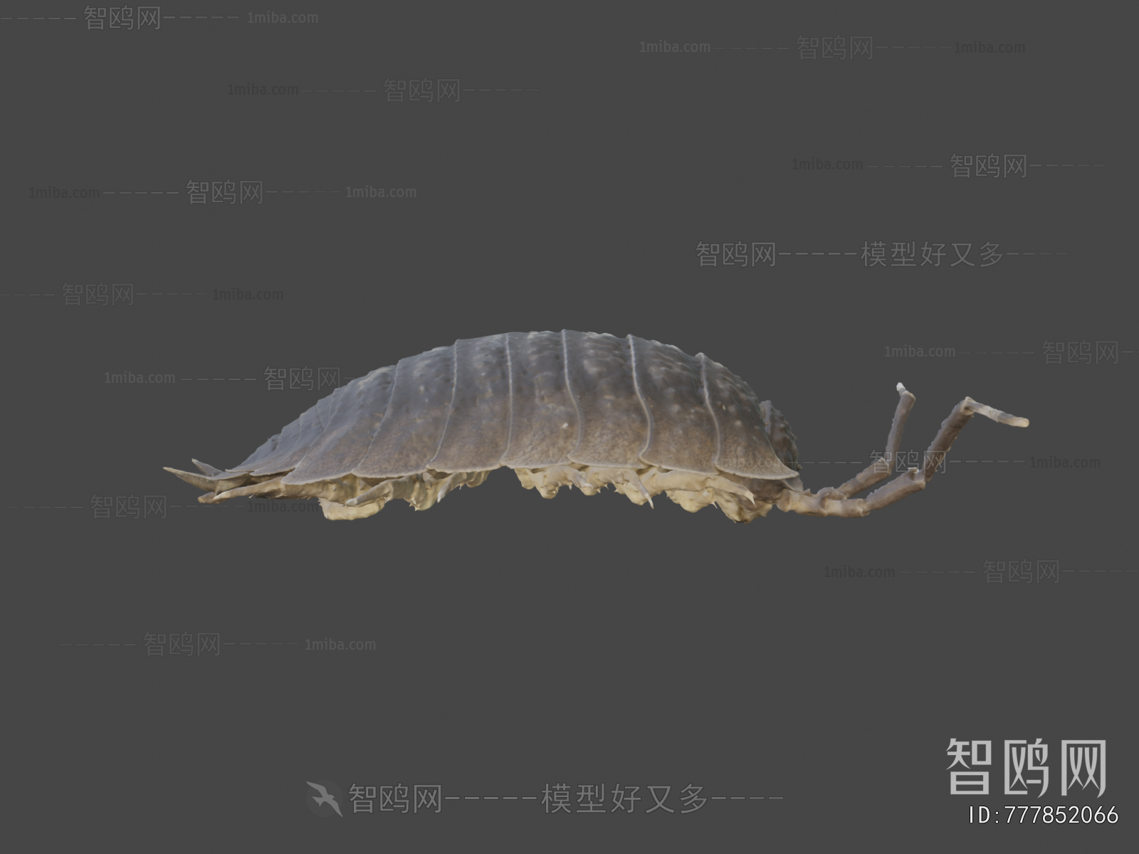 Modern Animal