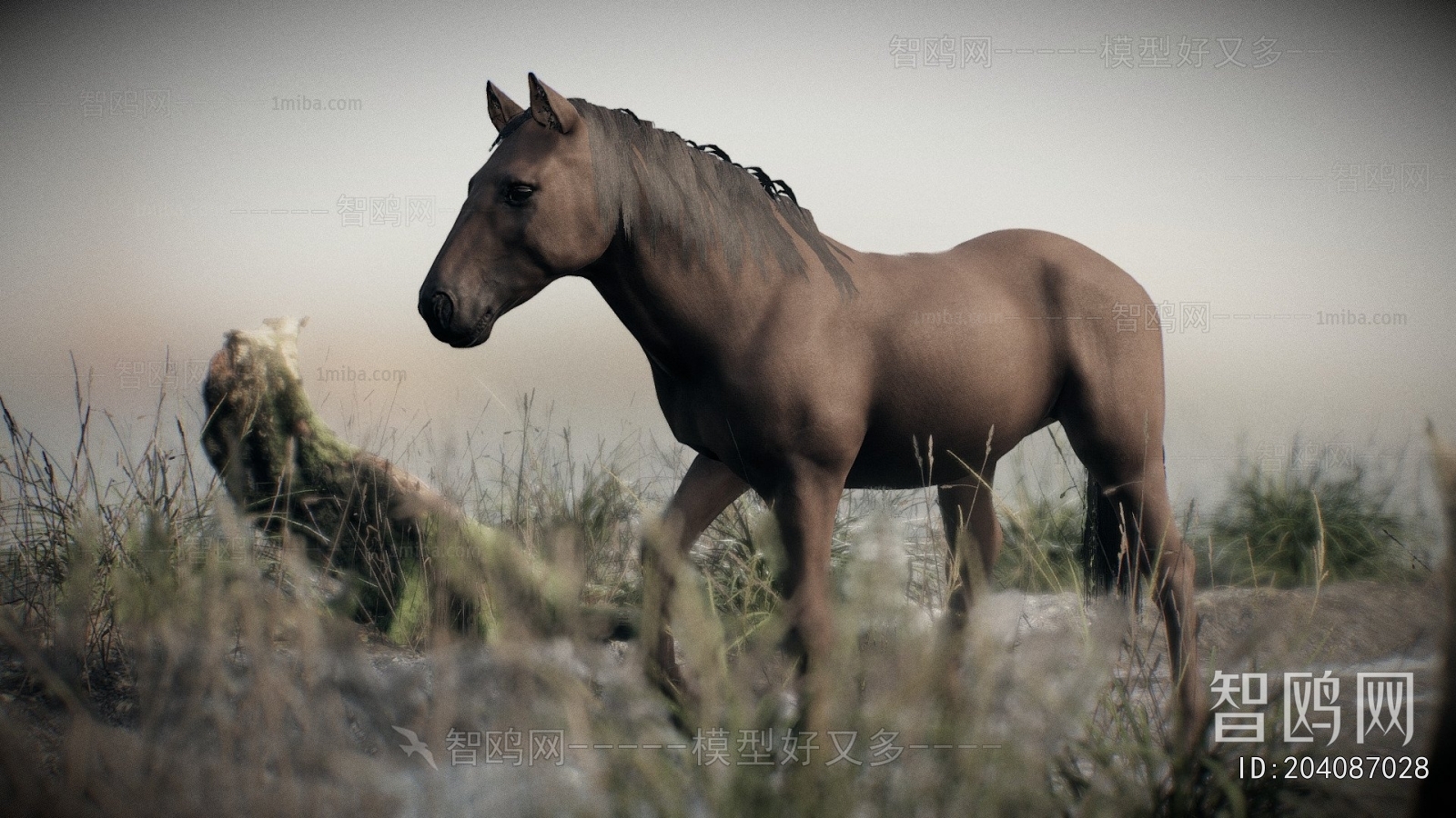 Modern Animal