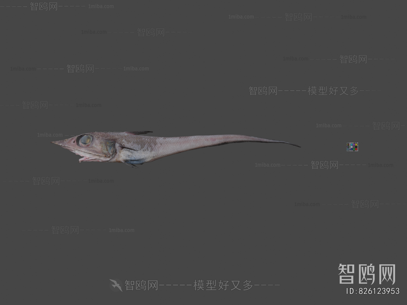Modern Aquatic Animals