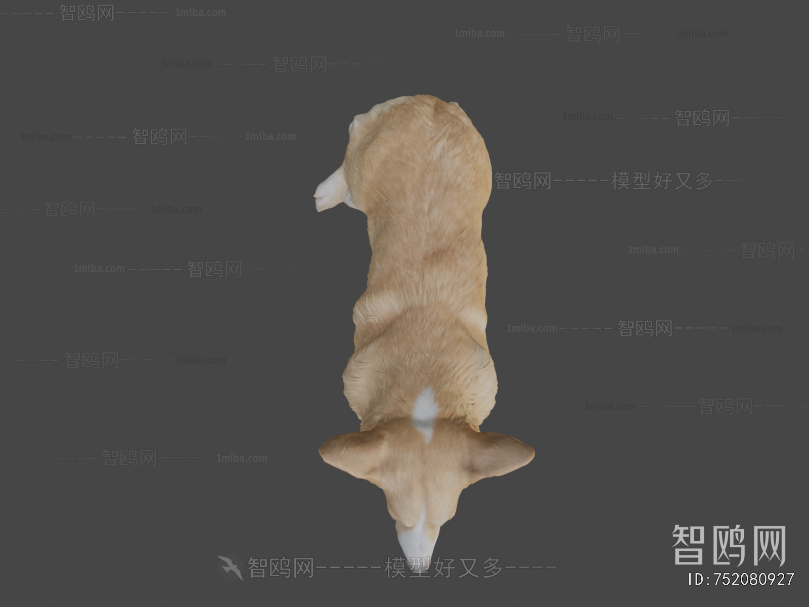 Modern Animal Dog